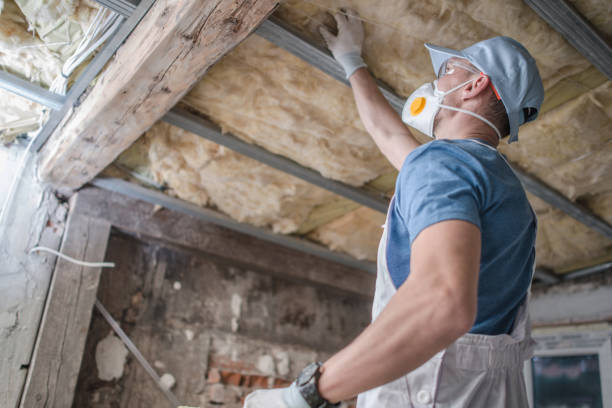 Best Insulation Maintenance and Repair in Star, NC